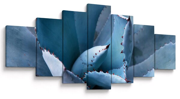 Obraz - Agáve (210x100 cm)