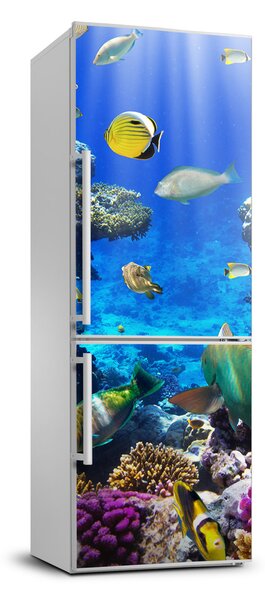 Nálepka fototapeta lednička Korálový útes XL FridgeStick-70x190-f-34733928