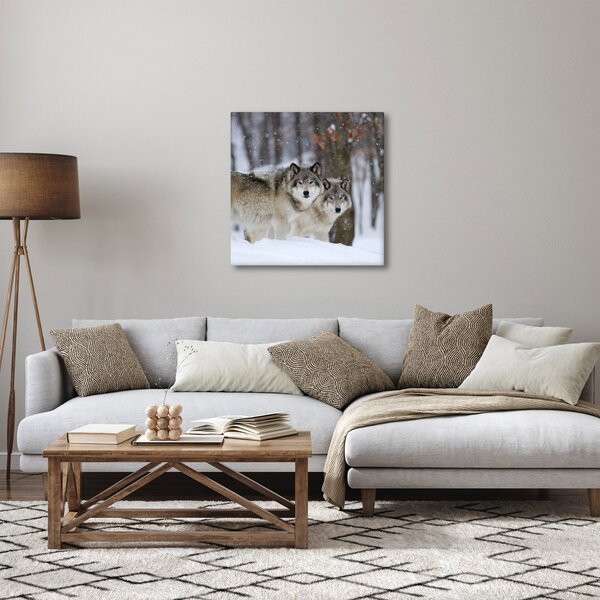 Obraz - Vlci v zimě (30x30 cm)