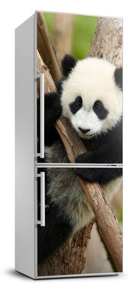Nálepka fototapeta lednička Panda na stromě FridgeStick-70x190-f-43324424