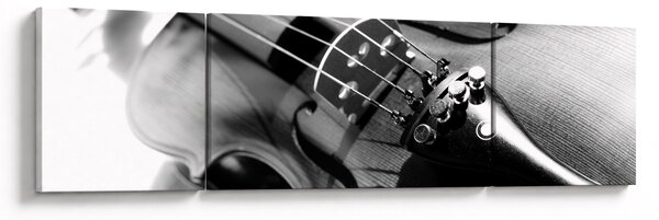 Obraz - Housle (170x50 cm)