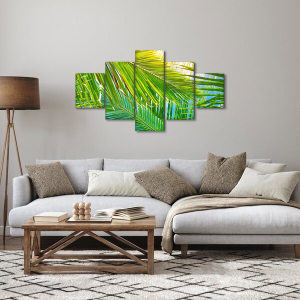 Obraz - Palmové listy (125x70 cm)