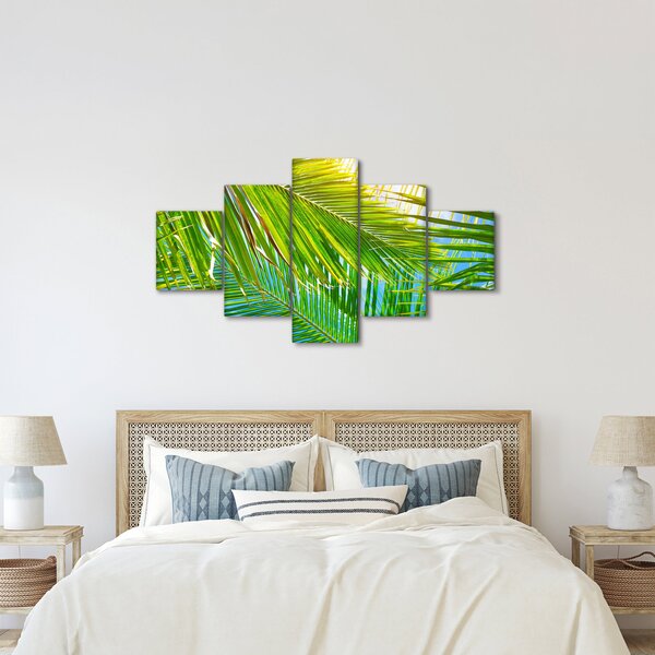 Obraz - Palmové listy (125x70 cm)