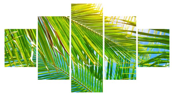 Obraz - Palmové listy (125x70 cm)