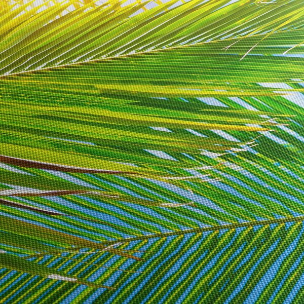 Obraz - Palmové listy (170x50 cm)