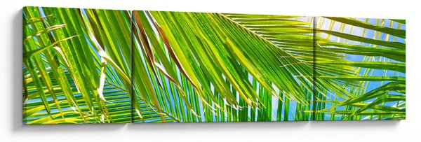 Obraz - Palmové listy (170x50 cm)