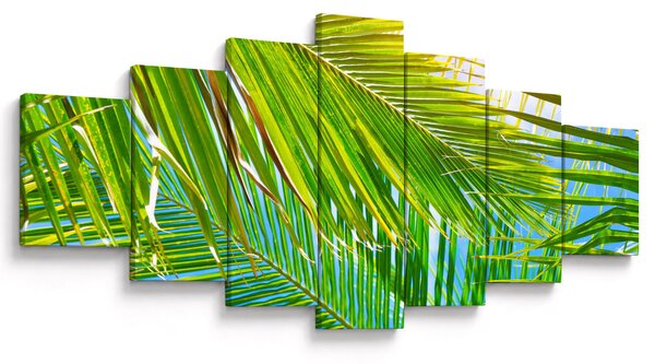 Obraz - Palmové listy (210x100 cm)