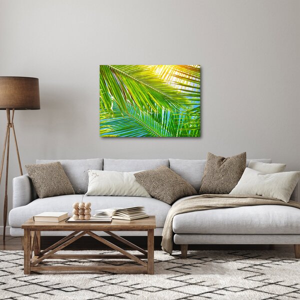 Obraz - Palmové listy (70x50 cm)