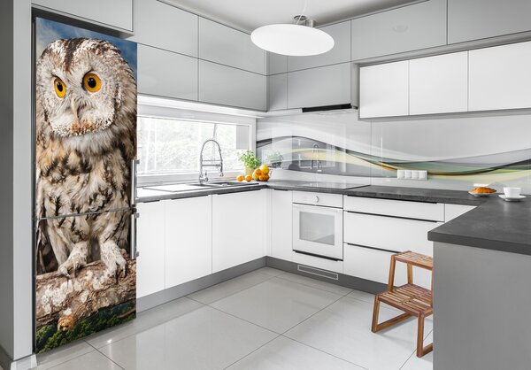 Nálepka fototapeta lednička Sova v hopci FridgeStick-70x190-f-106229578