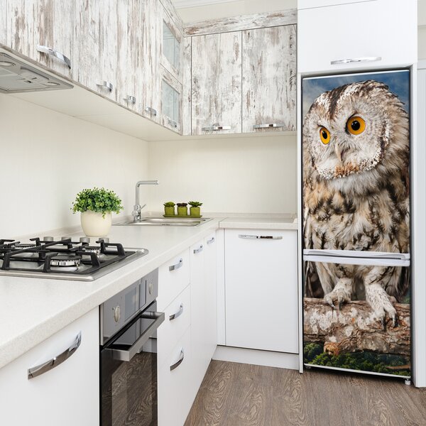 Nálepka fototapeta lednička Sova v hopci FridgeStick-70x190-f-106229578