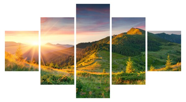 Obraz - Letní krajina (125x70 cm)