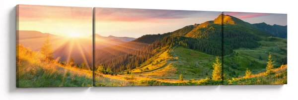 Obraz - Letní krajina (170x50 cm)