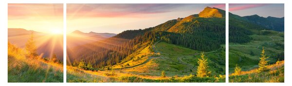 Obraz - Letní krajina (170x50 cm)