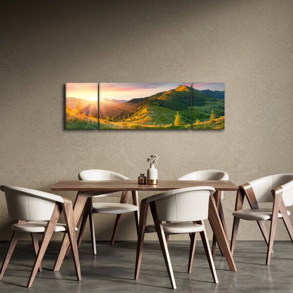 Obraz - Letní krajina (170x50 cm)