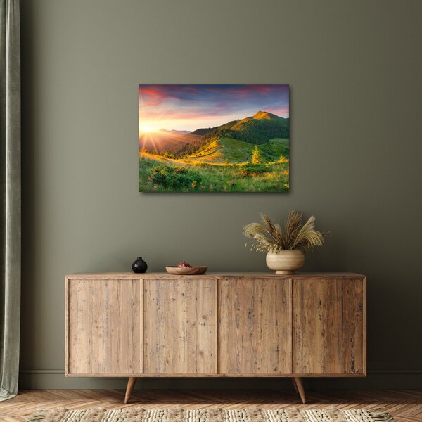 Obraz - Letní krajina (70x50 cm)