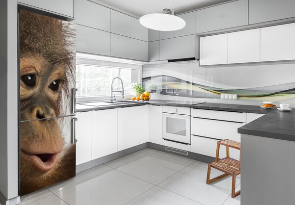 Nálepka fototapeta lednička Mladý orangutan FridgeStick-70x190-f-61570229