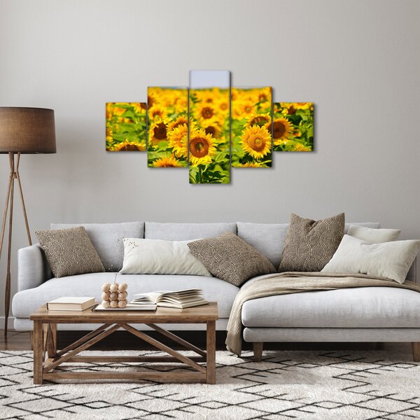 Obraz - Slunečnice (125x70 cm)