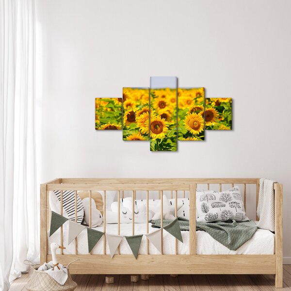 Obraz - Slunečnice (125x70 cm)