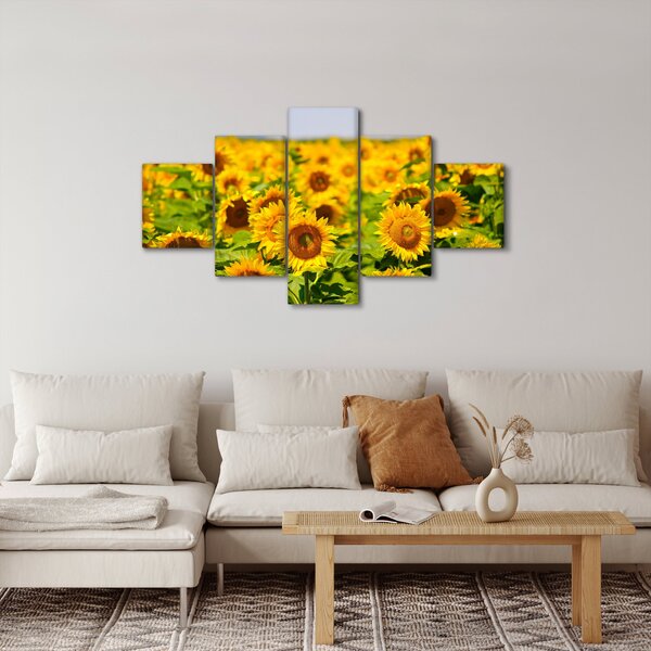 Obraz - Slunečnice (125x70 cm)