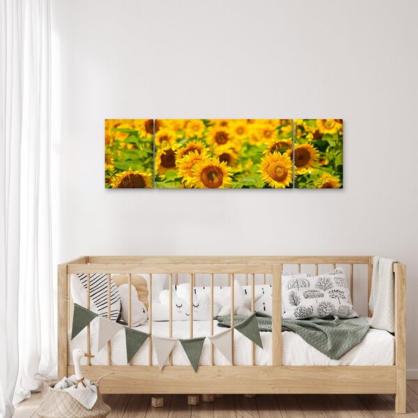 Obraz - Slunečnice (170x50 cm)
