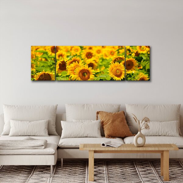 Obraz - Slunečnice (170x50 cm)