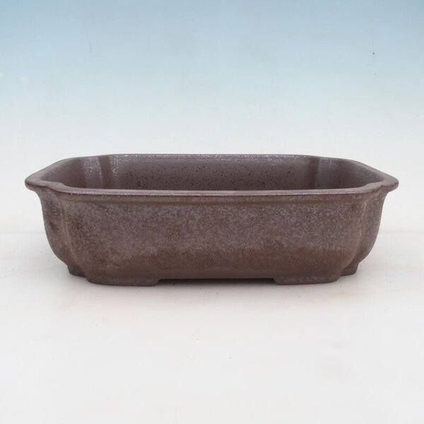E-bonsai Bonsai miska 30 x 24,5 x 8 cm přírodní