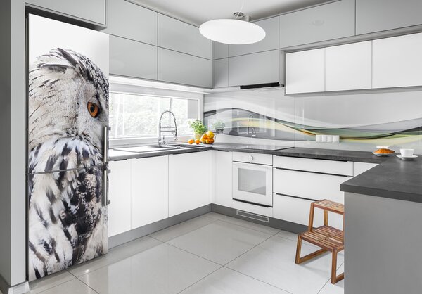 Foto nálepka na ledničku stěnu Bílá sova FridgeStick-70x190-f-65272565