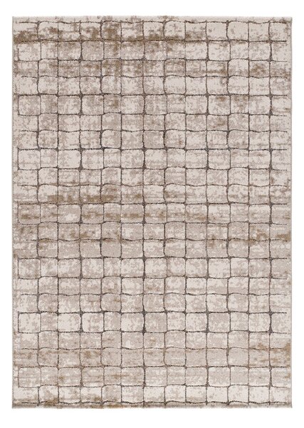 Šedobéžový koberec 80x120 cm Ceres – Universal