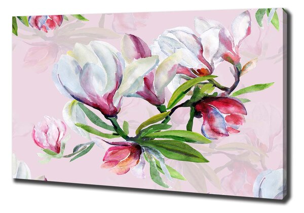 Foto obraz tištěný na plátně Květiny magnolie pl-oc-100x70-f-104301807