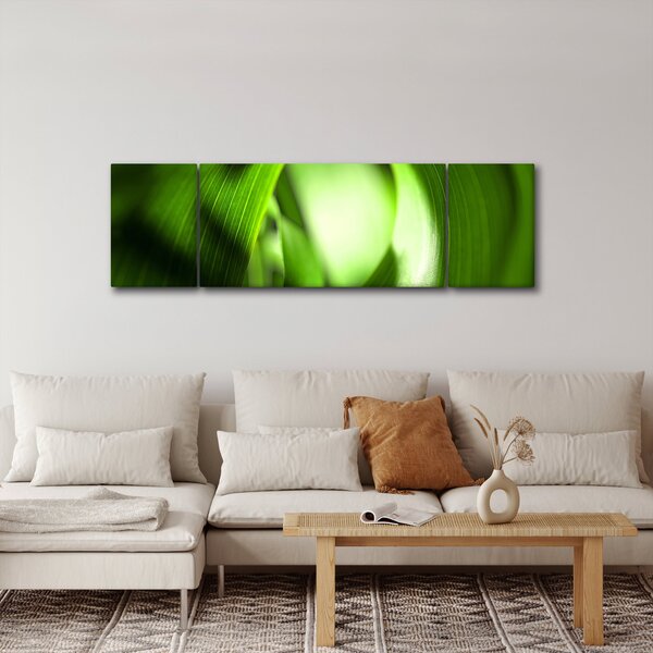 Obraz - Stéblo trávy (170x50 cm)