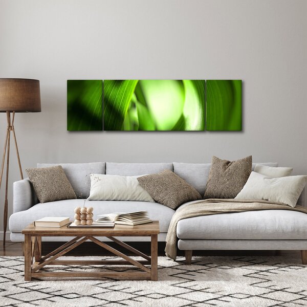 Obraz - Stéblo trávy (170x50 cm)