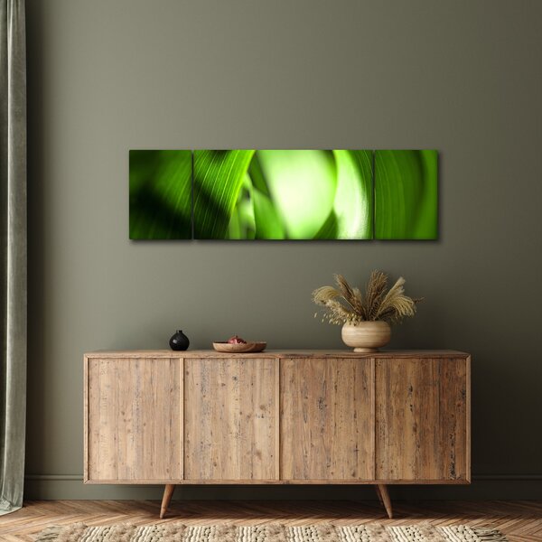 Obraz - Stéblo trávy (170x50 cm)