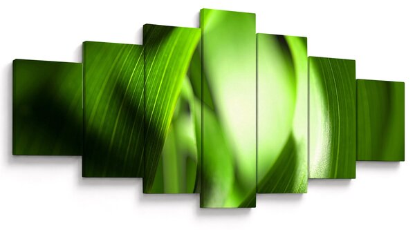 Obraz - Stéblo trávy (210x100 cm)