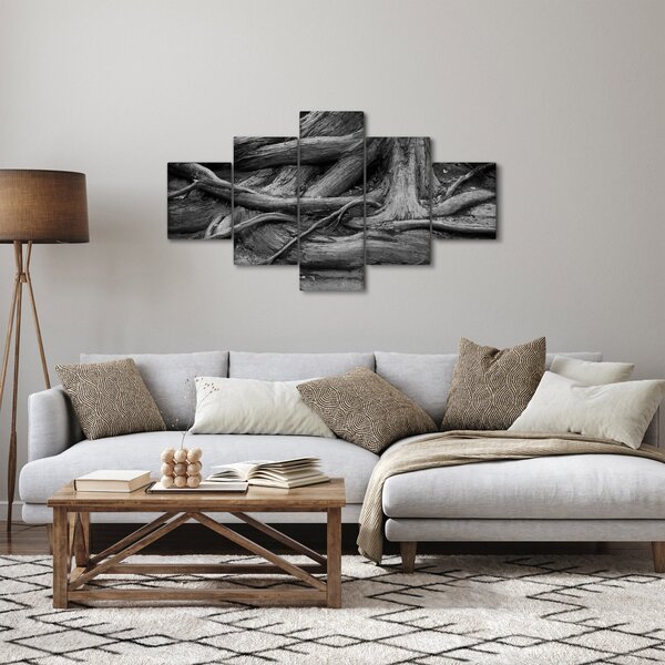 Obraz - Kořeny stromu (125x70 cm)