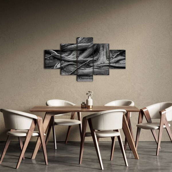 Obraz - Kořeny stromu (125x70 cm)
