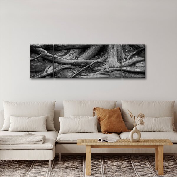 Obraz - Kořeny stromu (170x50 cm)