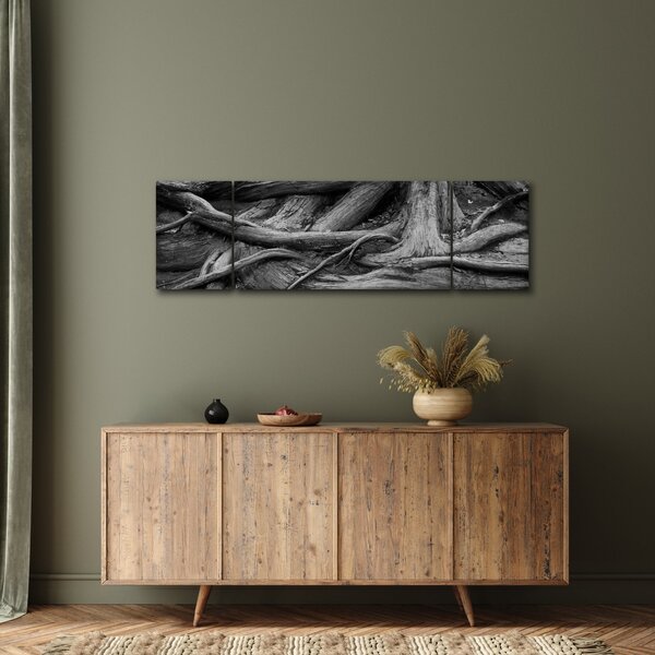 Obraz - Kořeny stromu (170x50 cm)