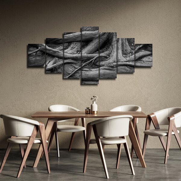 Obraz - Kořeny stromu (210x100 cm)