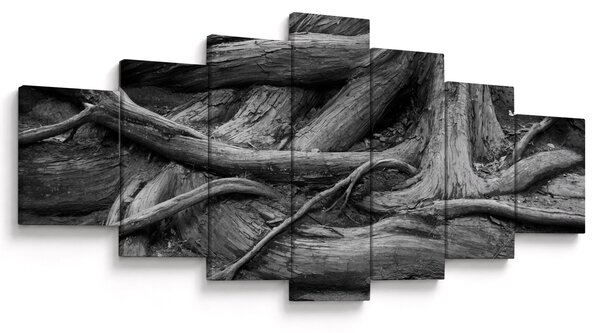 Obraz - Kořeny stromu (210x100 cm)