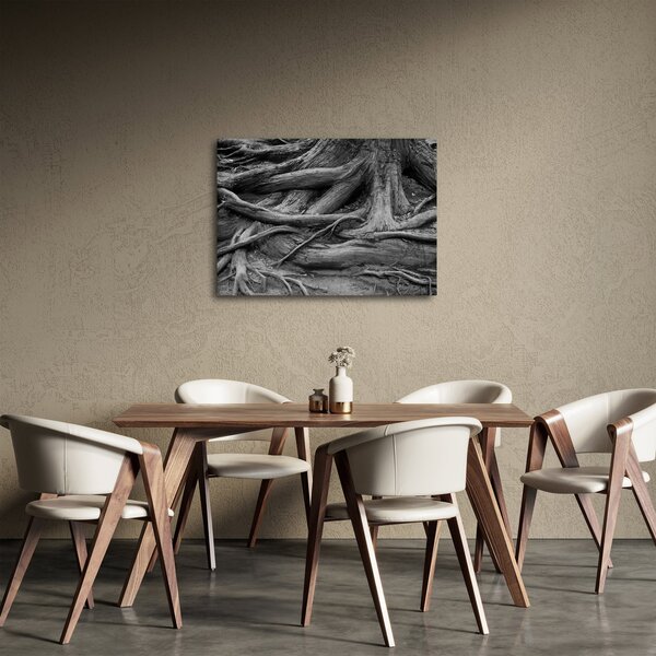 Obraz - Kořeny stromu (70x50 cm)