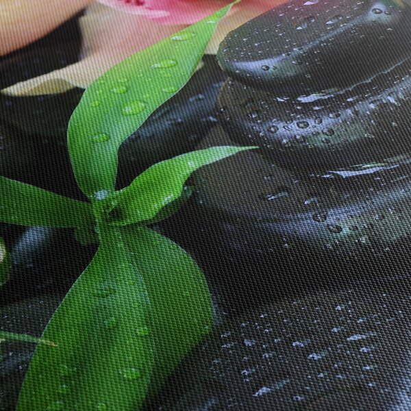 Obraz - Kameny a orchideje (170x50 cm)