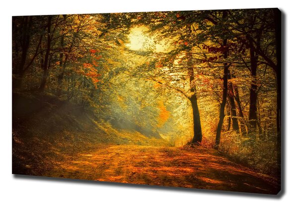 Foto obraz na plátně Podzimní les pl-oc-100x70-f-60738927