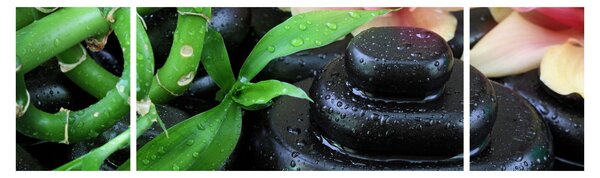 Obraz - Kameny a orchideje (170x50 cm)