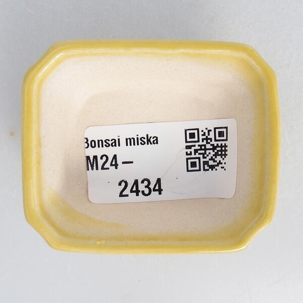 E-bonsai Mini bonsai miska 5,5 x 4,5 x 2 cm žlutá
