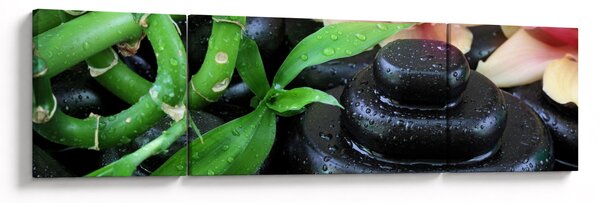 Obraz - Kameny a orchideje (170x50 cm)