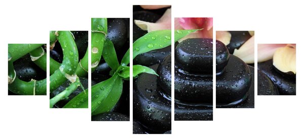 Obraz - Kameny a orchideje (210x100 cm)