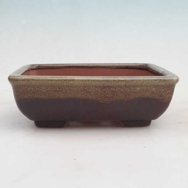 E-bonsai Bonsai miska 17,5 x 13 x 5,5 cm vínová