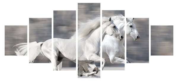 Obraz - Bílí koně v zimě (210x100 cm)