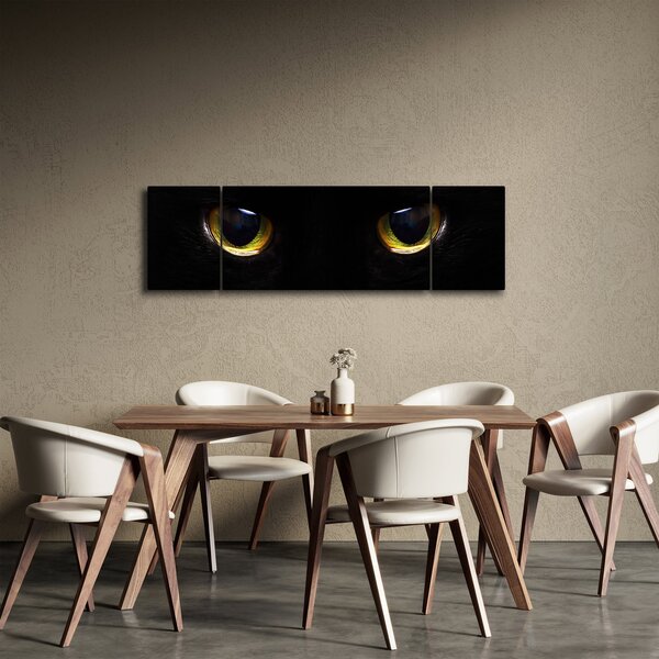 Obraz - Kočičí oči (170x50 cm)