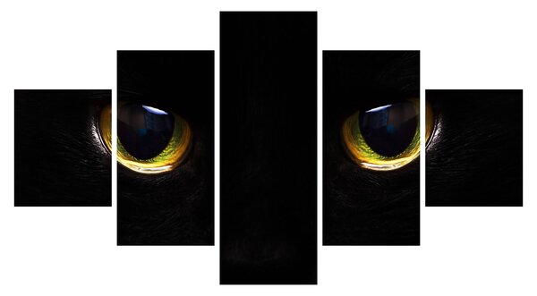 Obraz - Kočičí oči (125x70 cm)
